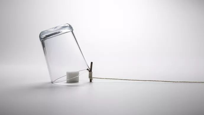 你以为走上了“健康之路”，结果却是*子骗**的“千层套路”，揭秘诈术之“树上开花”