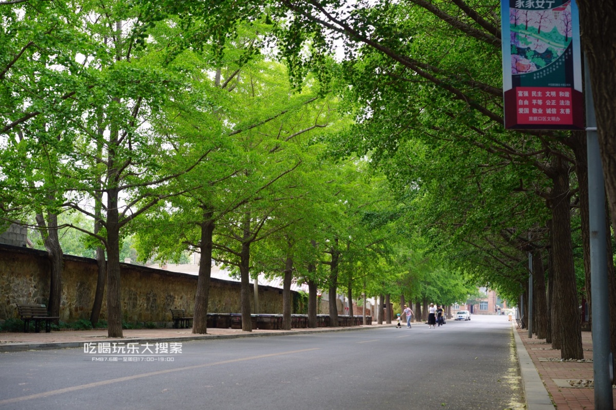 遇上浓浓的大连海蛎子味,青岛海蛎子旅游攻略