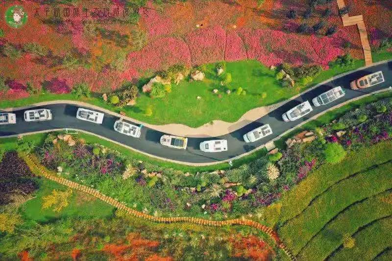 瞧!这花花世界谁不爱