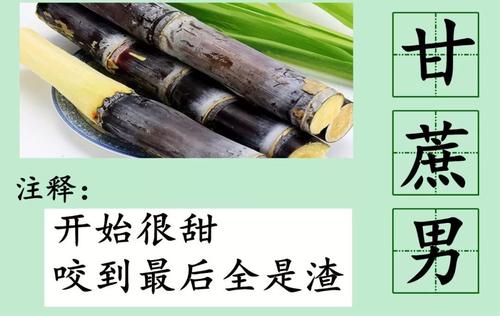 2019年度十大流行词汇大全,2019时下最流行的词语