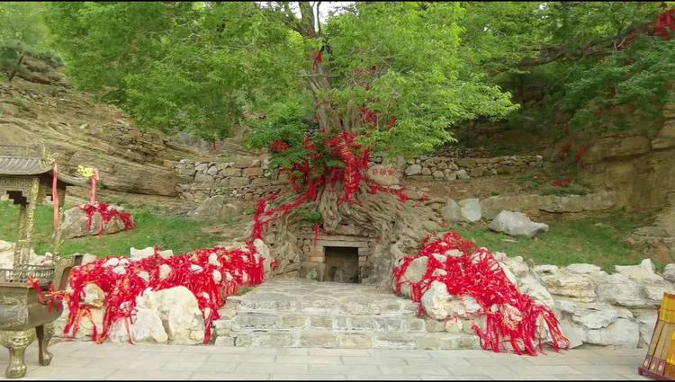 济南灵岩大佛山景区,济南灵岩寺大佛风景区