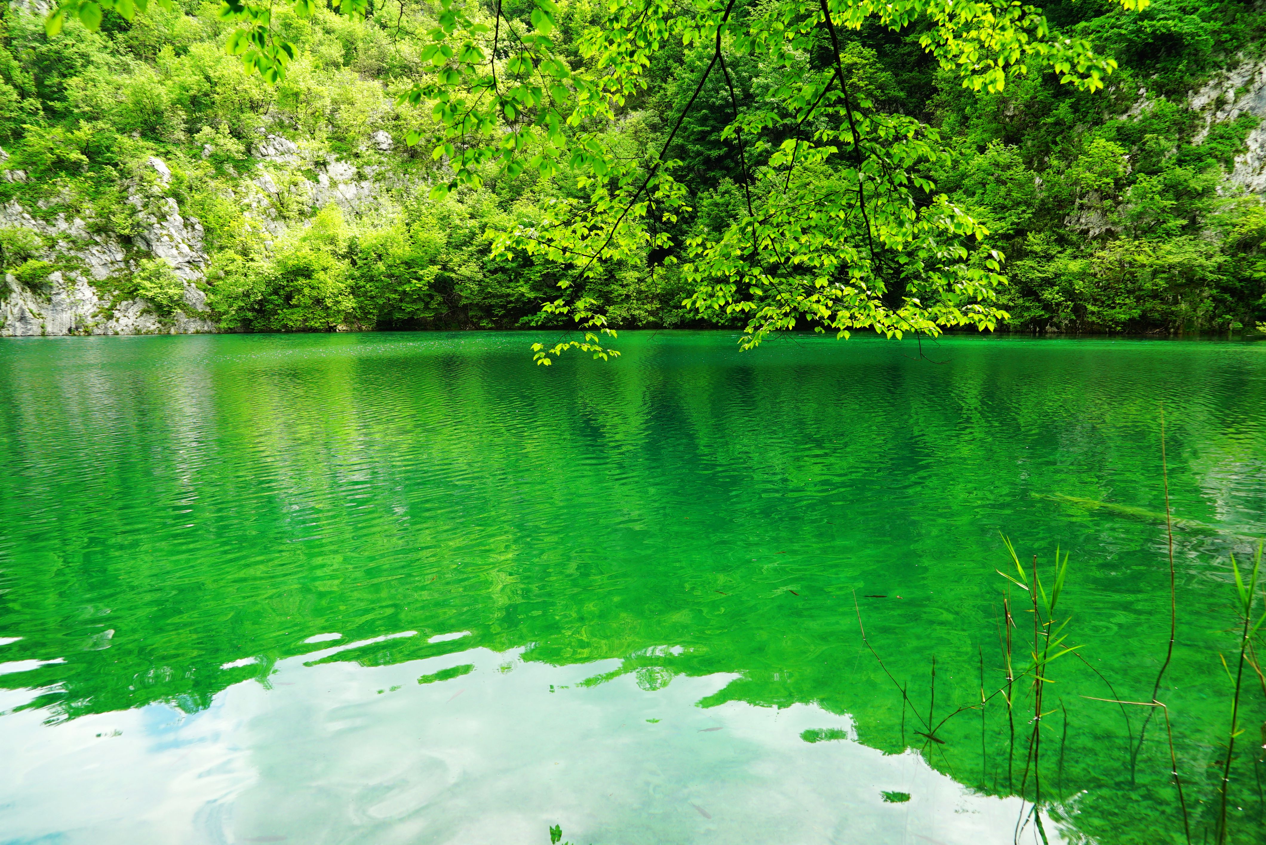 克罗地亚十六湖国家公园,克罗地亚十六湖仙境