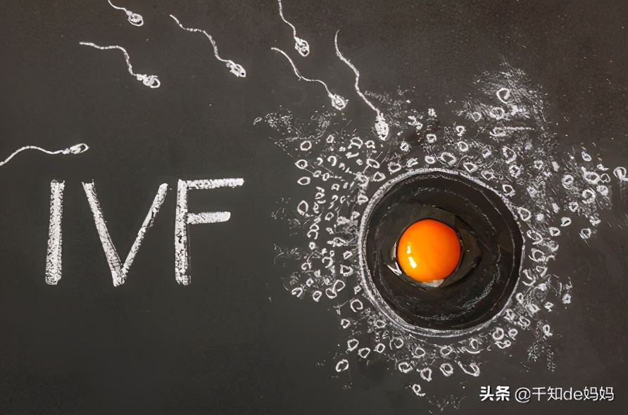 一个生活在冲绳39岁女人的故事,在生育治疗中才知丈夫真实状况