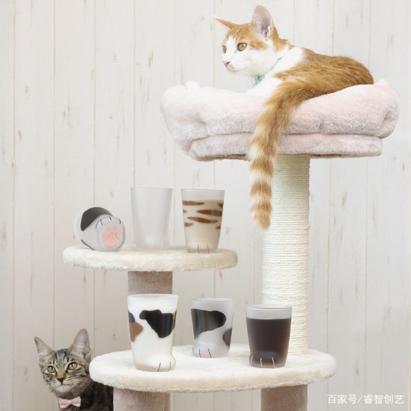 肉球猫掌杯图片大全,高颜值猫爪杯推荐