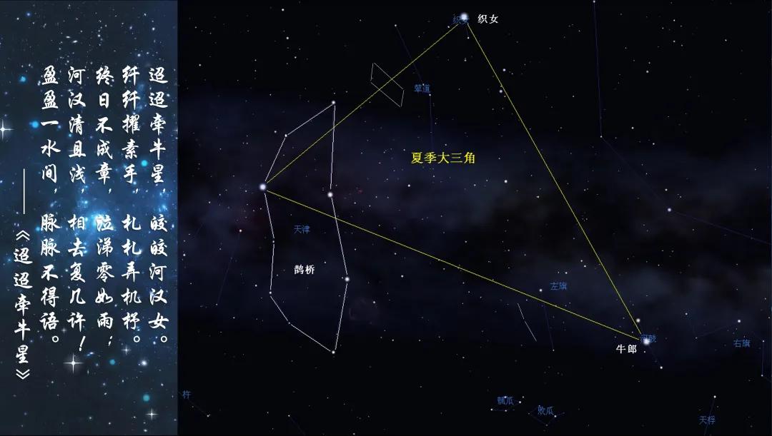 牛郎和织女在鹊桥相会,牛郎和织女的故事全部