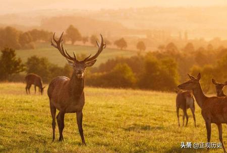 中国人设计的一个阴招，杀人不用刀，美国沿用对付智利，智利崩溃