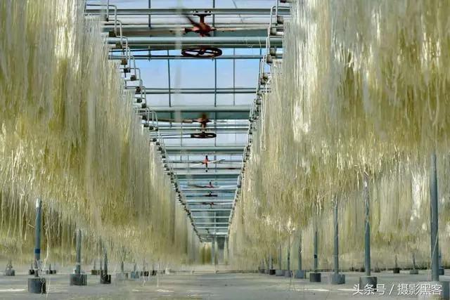 乳山冬天特产必买清单,乳山好物优选