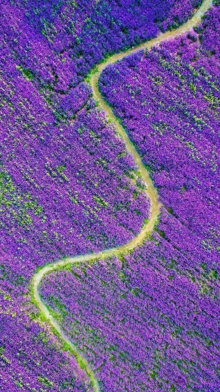 致敬祖国绘画作品高难度,关于祖国的手绘画