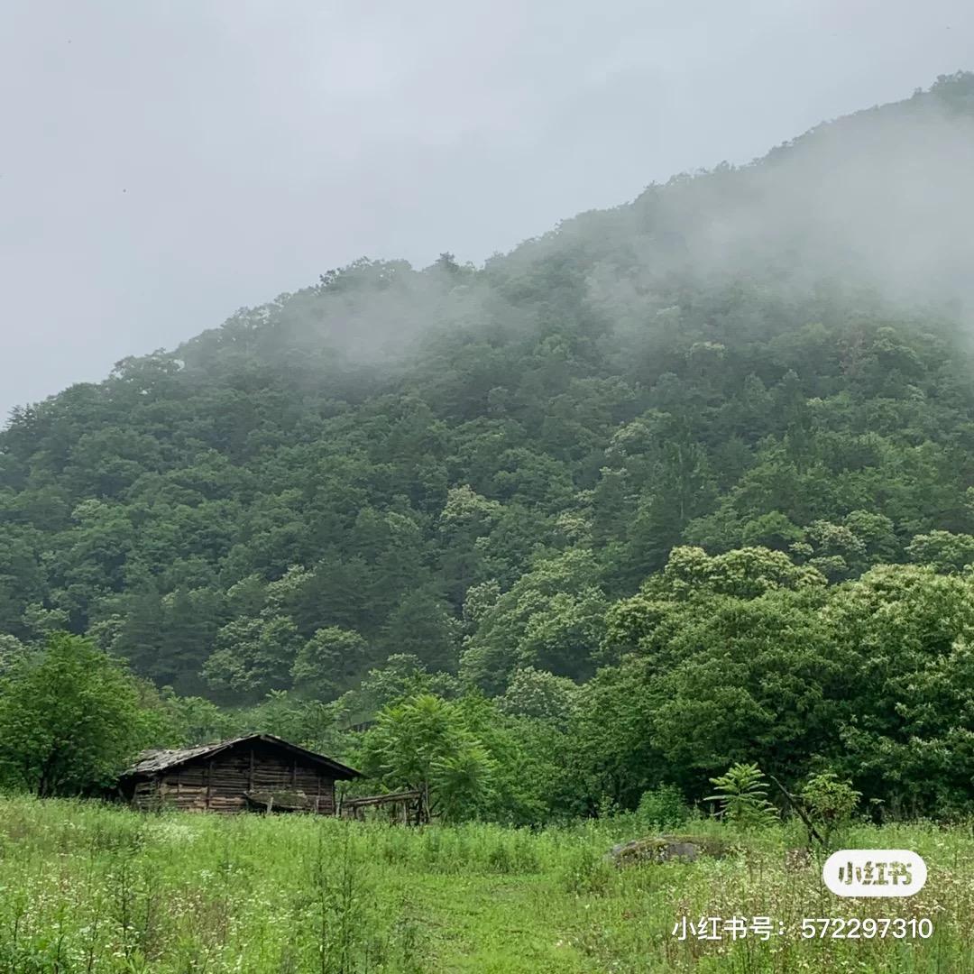 一起爬山吗？西安这些山不仅野，还不要钱~