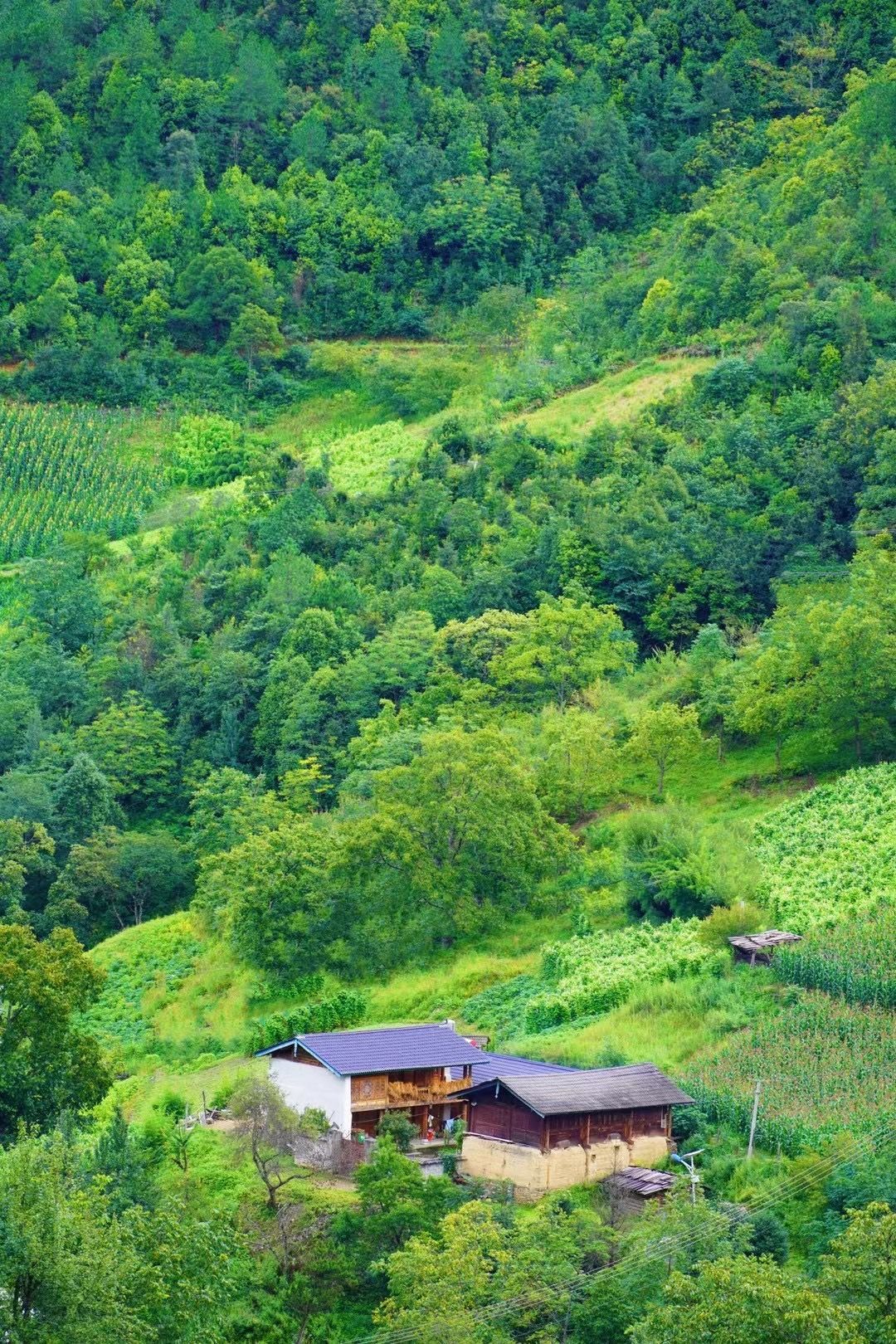 “乡”约丽江塔城,这里有你向往的田园生活