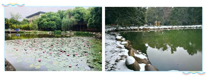 武汉外语外事职业学院毕业,外语外贸职业学院大一学妹