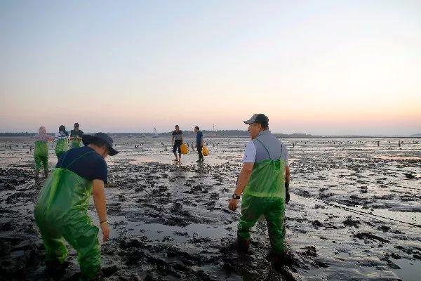 56家餐饮店经营模式,莆田餐厅发展前景如何