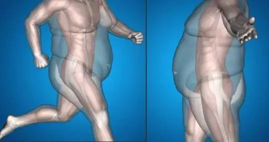 马甲线腹肌速成教程,练习腹肌人鱼线马甲线的最好方法