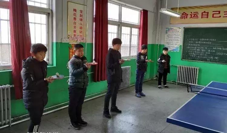 宁晋少年宫寒假活动,河西区少年宫寒假活动