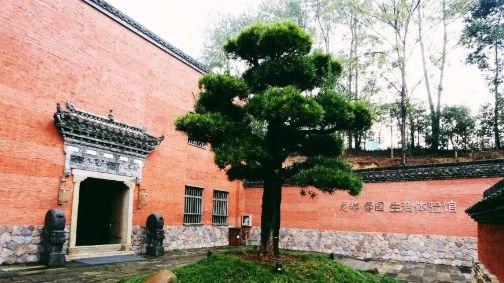 龙泉驿桃花源景区,龙泉山看桃花网红打卡地