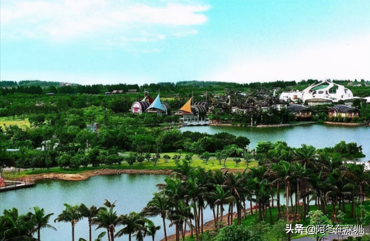 深圳一日游必去的十个免费景点,深圳一日游必去十大网红景点