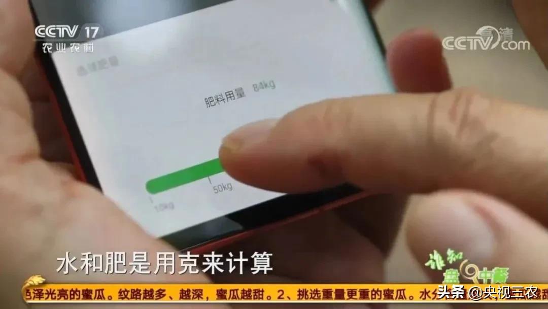 猕猴桃干泡茶维生素多吗,猕猴桃可以用热水泡软