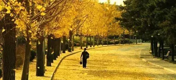 马云人生最大的梦想就是提前退休,马云55岁退休后的感悟