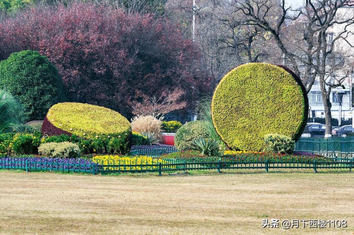 南京什么地方最能体验南京特色,你不知道的南京特色