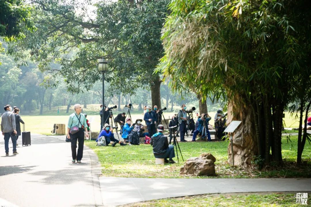 300+万㎡原始森林秘境，天河就有