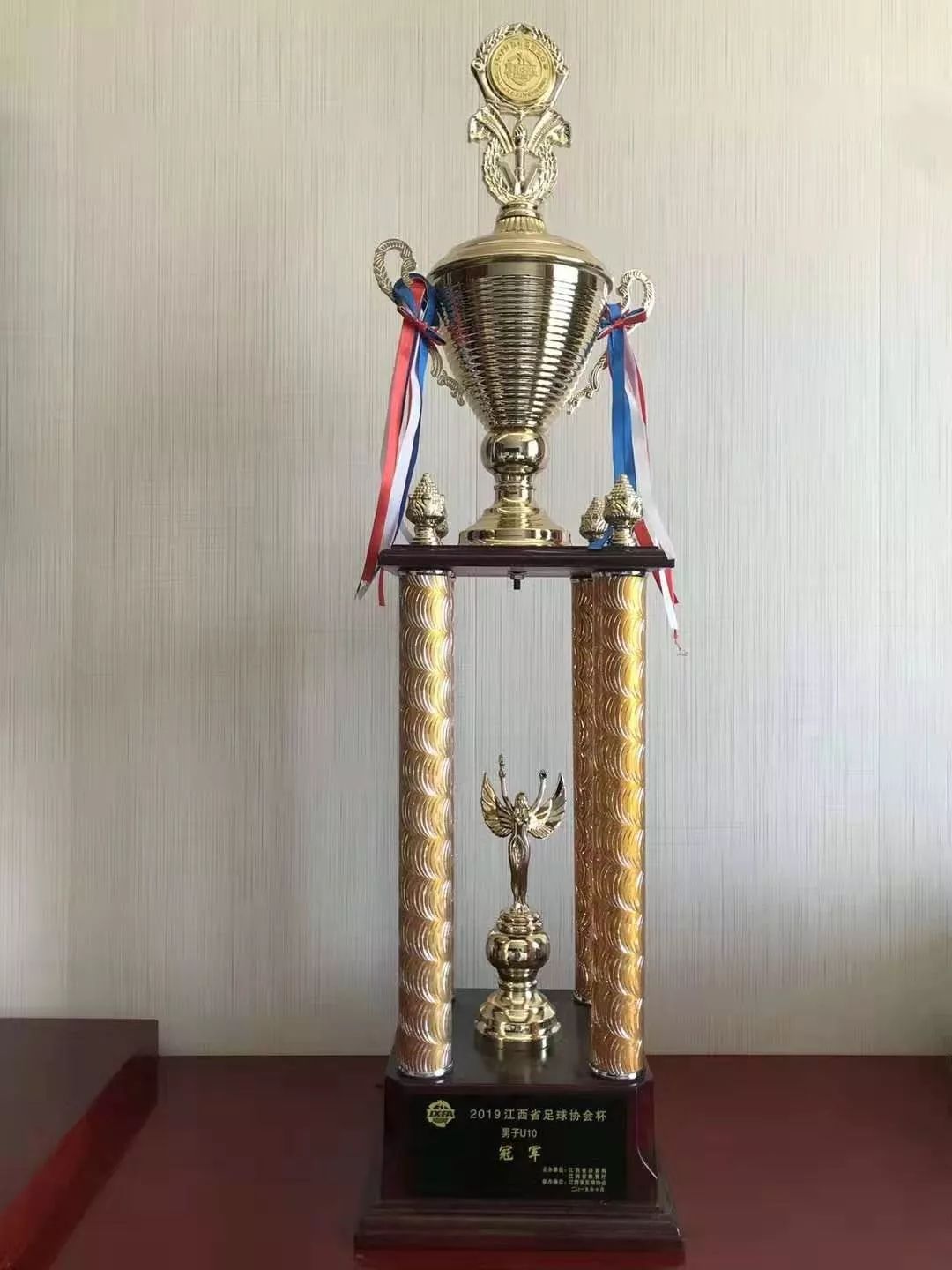 江西省足球u10比赛,2022江西省足球锦标赛u15冠军