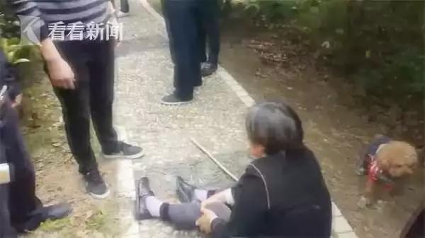 男子被一条狗疯咬,男子被狗追咬全身缝300多针