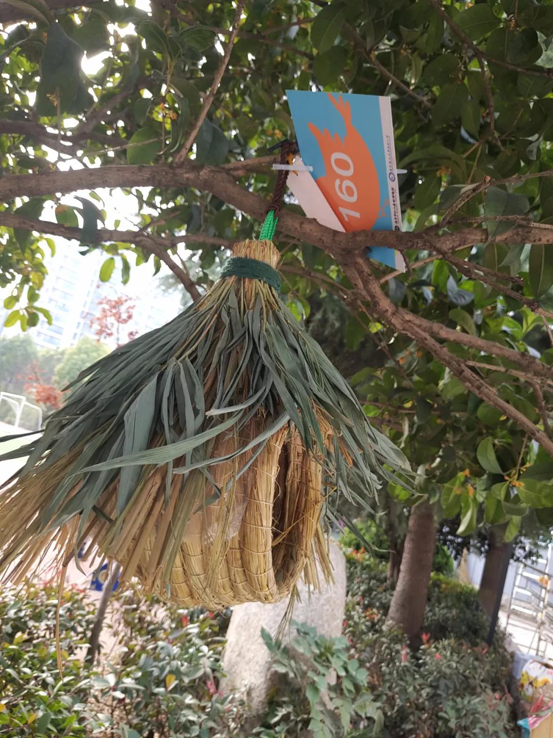 南京比较好的小学学校排名,南京名校小学最新排名