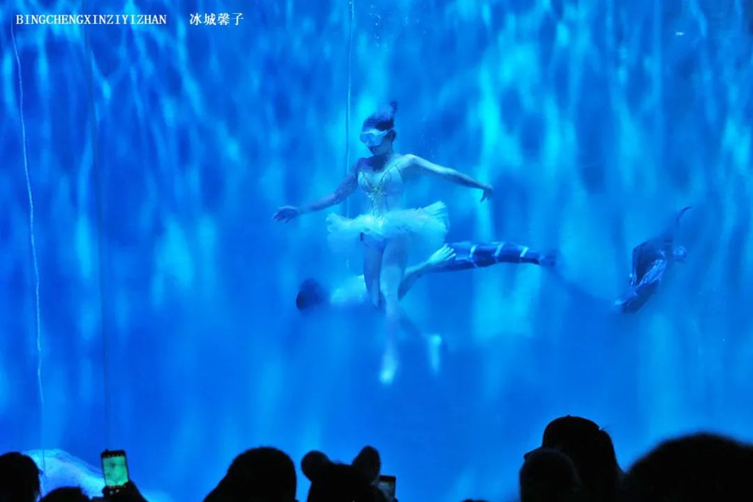 走进哈尔滨完整视频,走进哈尔滨海洋馆