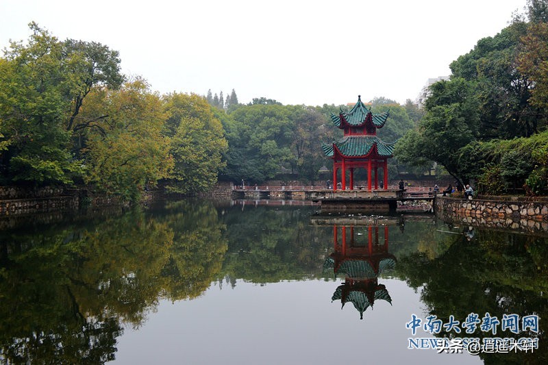 中南大学的性价比怎么样,中南大学算不算顶尖学府