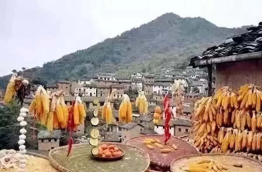 歙县秋季旅行攻略来了,安徽黄山徽州研学旅行