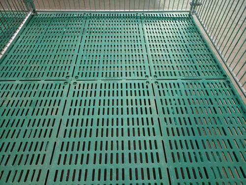 漏粪板下方的猪粪怎么处理,猪粪漏到漏板底下怎么清理