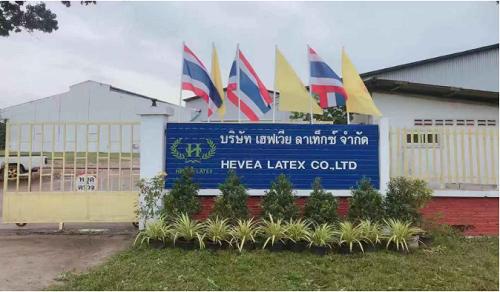 乳胶枕怎么才能买到真的,买乳胶枕常见问题