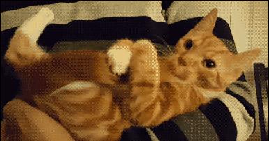 大家觉得谁舞蹈好,顶尖舞蹈水平