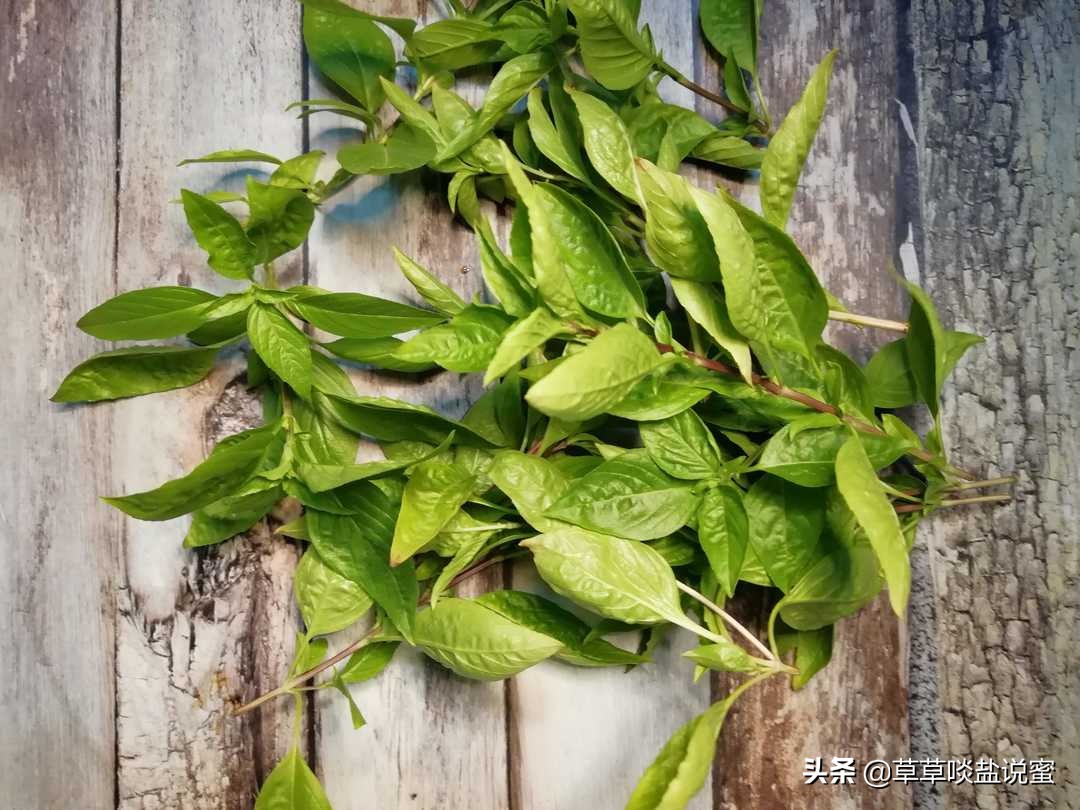 台湾三杯鸡用的米酒,台湾九层塔三杯鸡团购