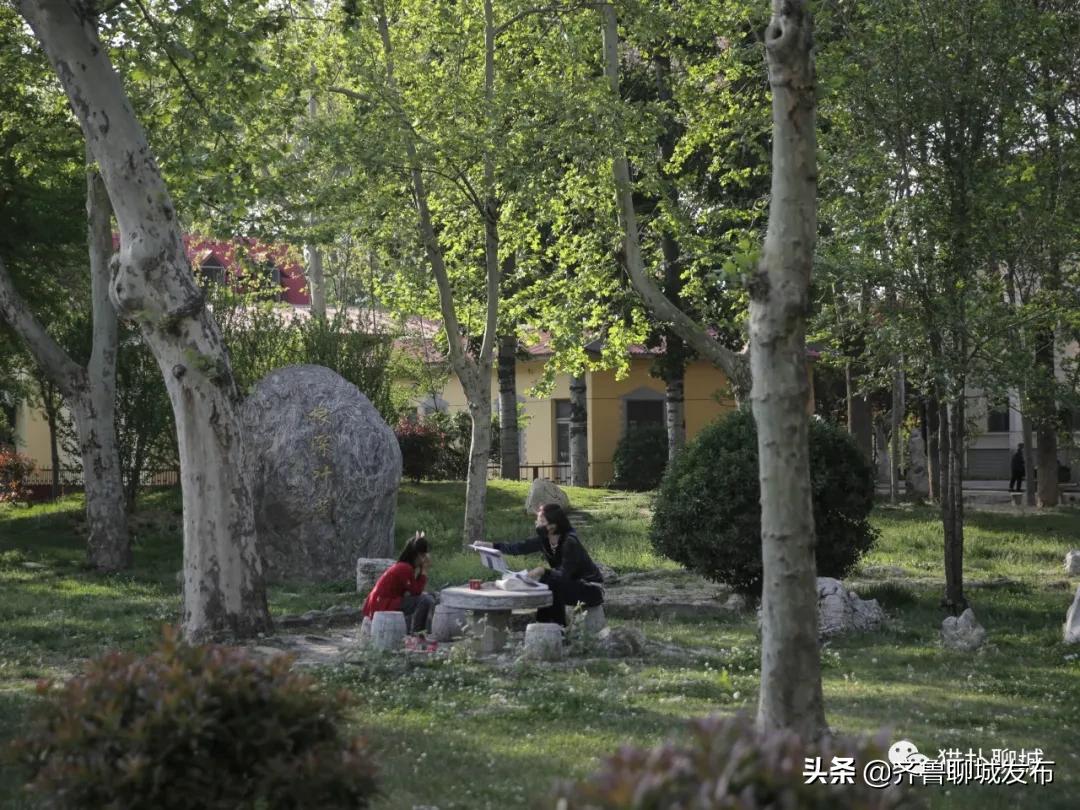 五个月未见面的聊城大学,现在你怎么样了?