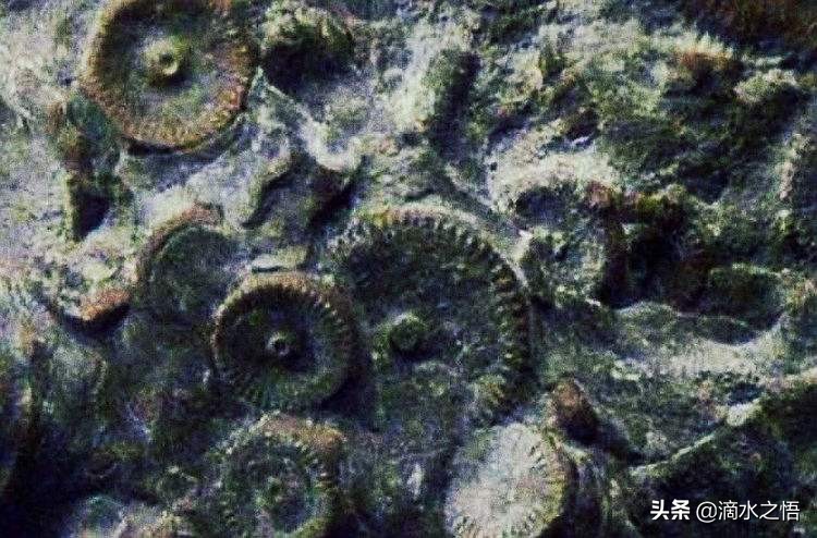 史前文明真实存在的铁证有哪些,科学家列出多个证据直指史前文明