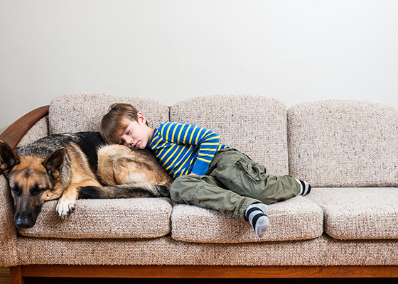 照映心之所向，这款音箱让耳朵都怀了孕