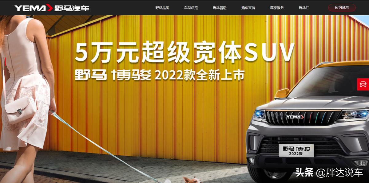 川汽野马仿了哪些车,众泰和野马