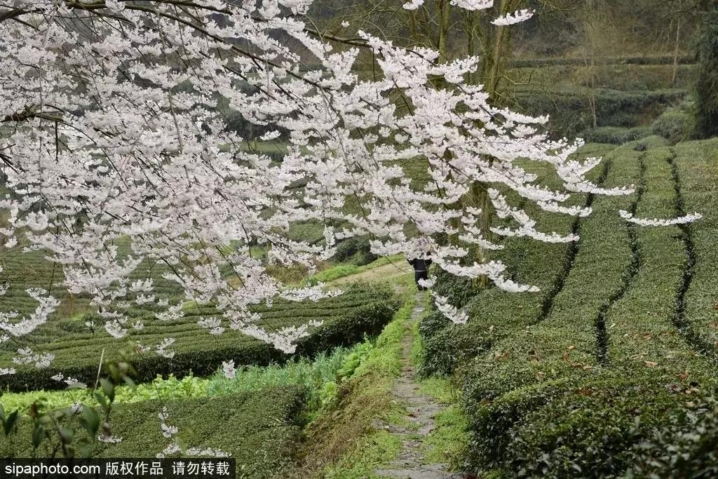适合旅游的免费景点北京,推荐北京假期游玩的地方