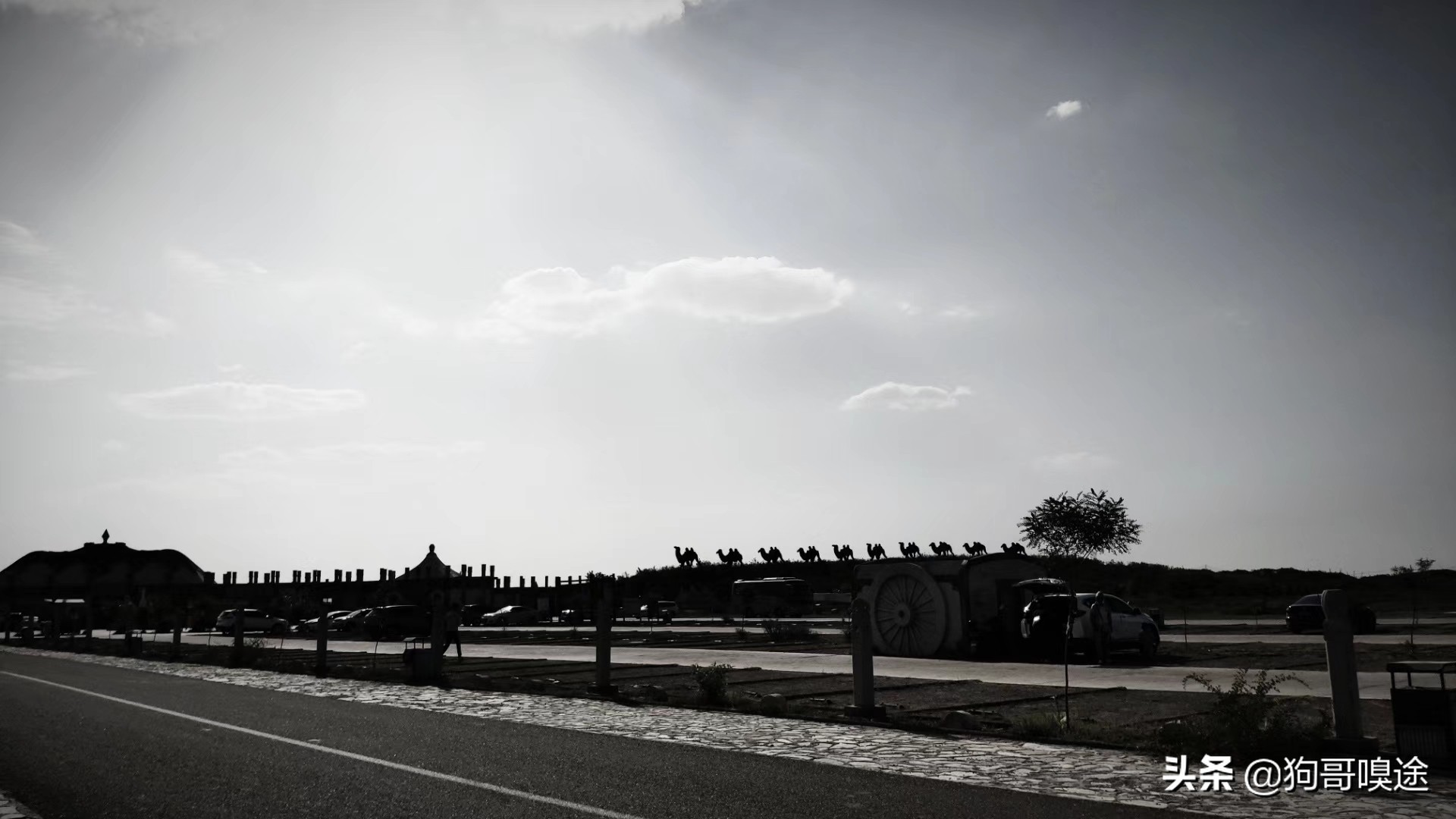 来一场沙漠之旅沙坡头景区,宁夏中卫沙坡头沙漠旅游