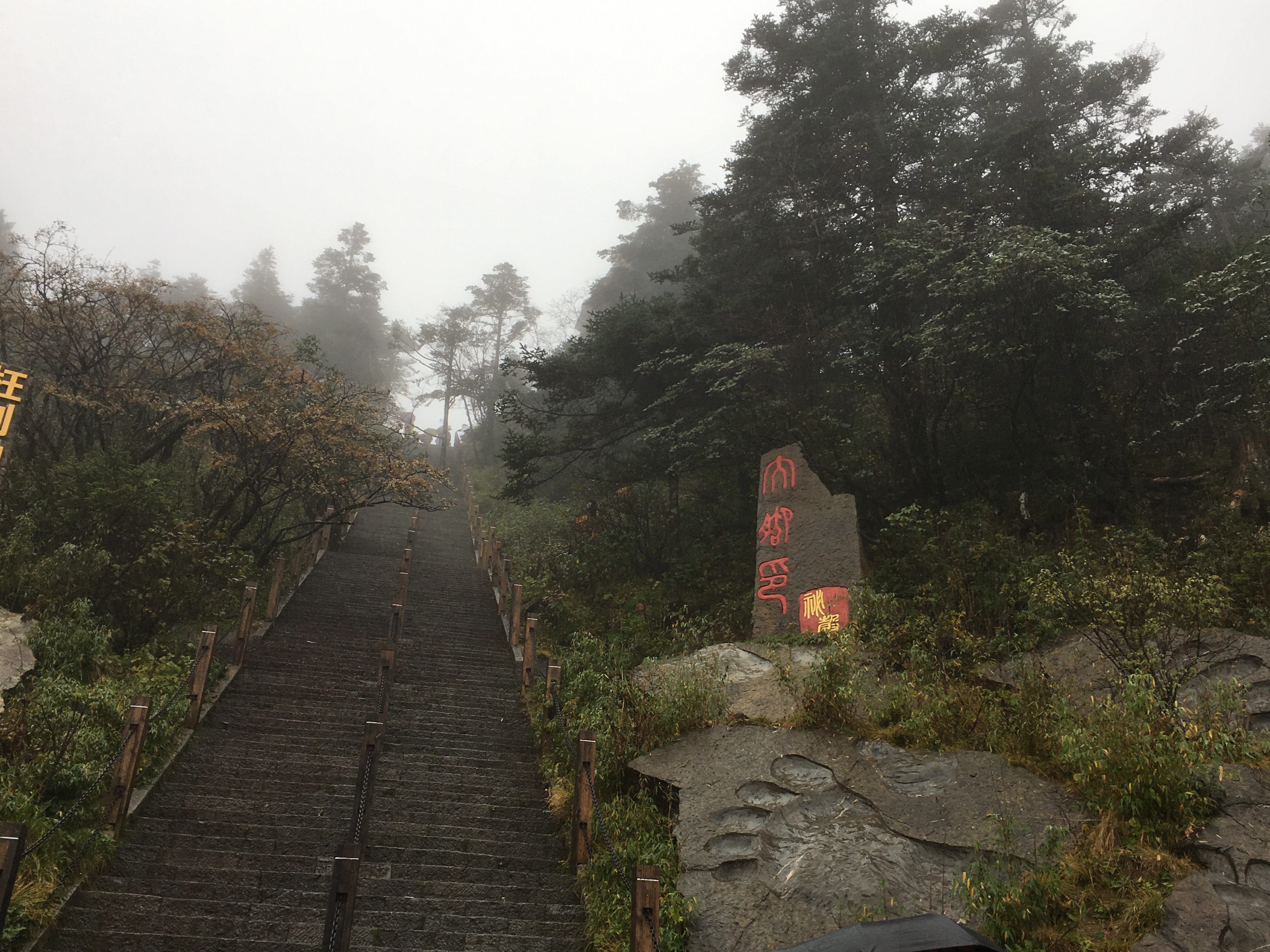 雨中神农架探秘之旅｜国庆节武汉至神农架自驾游攻略分享
