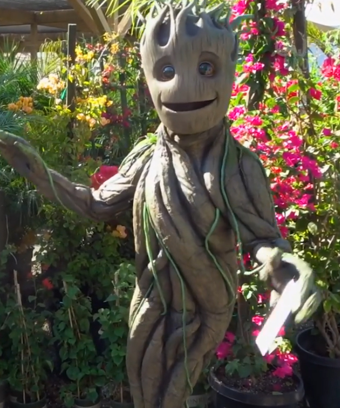 残奥会运动员双腿残疾,残奥会9岁失去一只腿