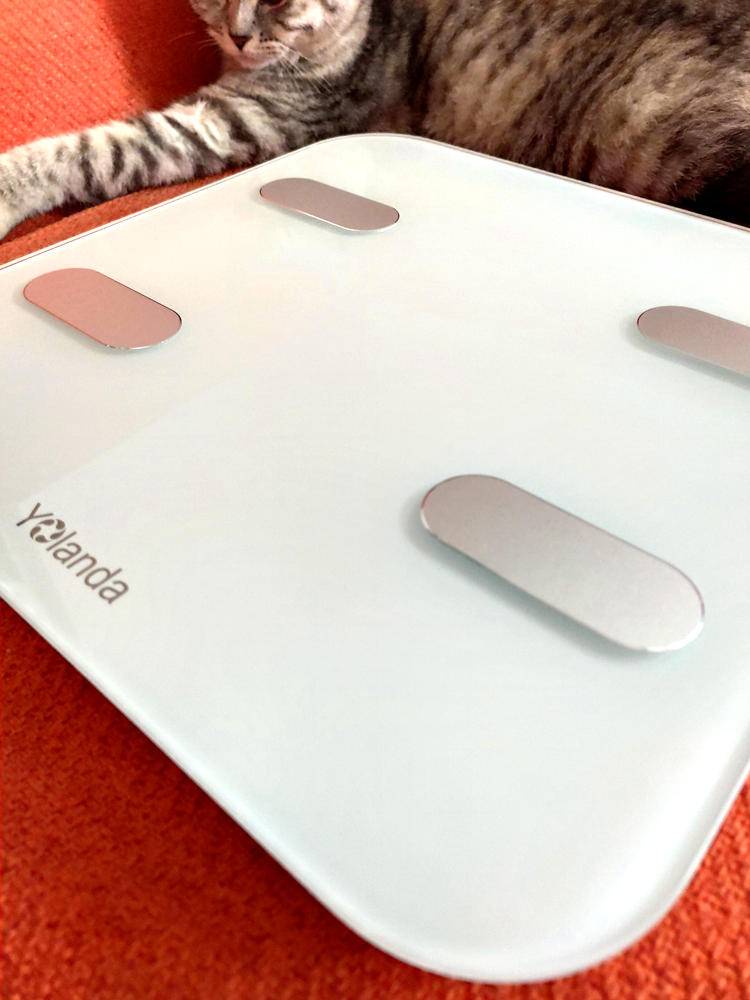 云康宝体脂秤蓝牙和wifi区别,云康宝和华为八电极体脂秤评测