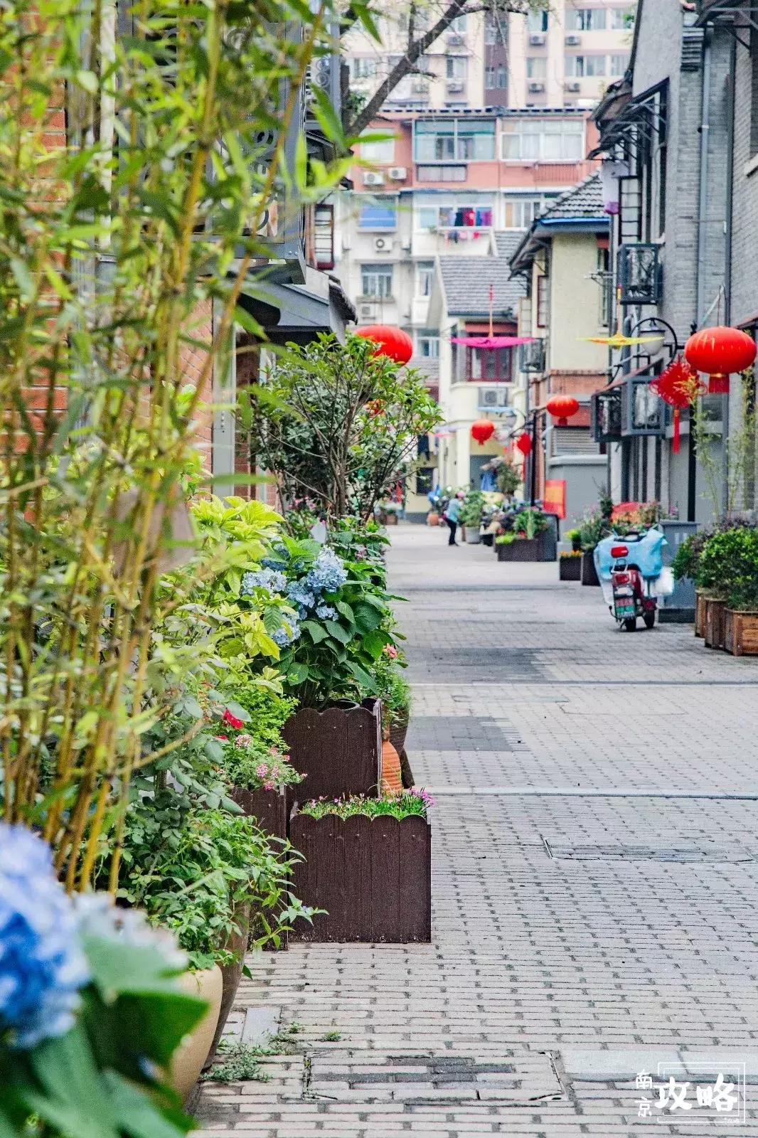 慧园里，南京城中，时光交错的角落