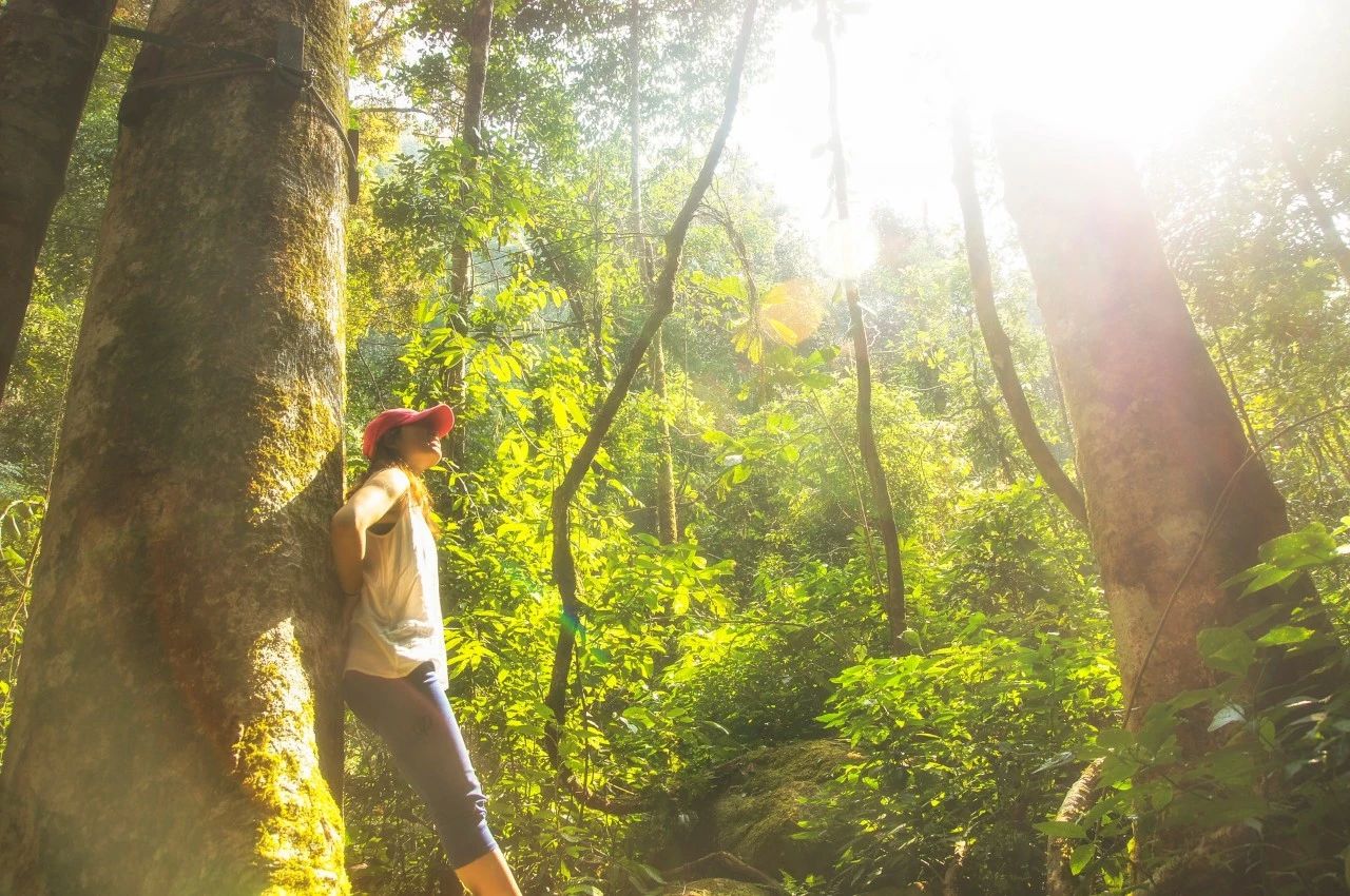 暮春十大经典诗词,七首唯美暮春诗词