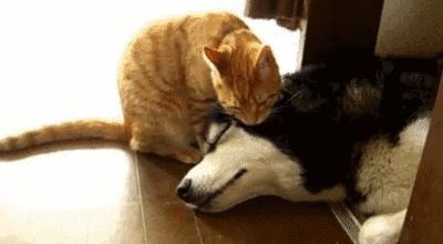 魏巍十大临床案例,魏巍临床经典案例