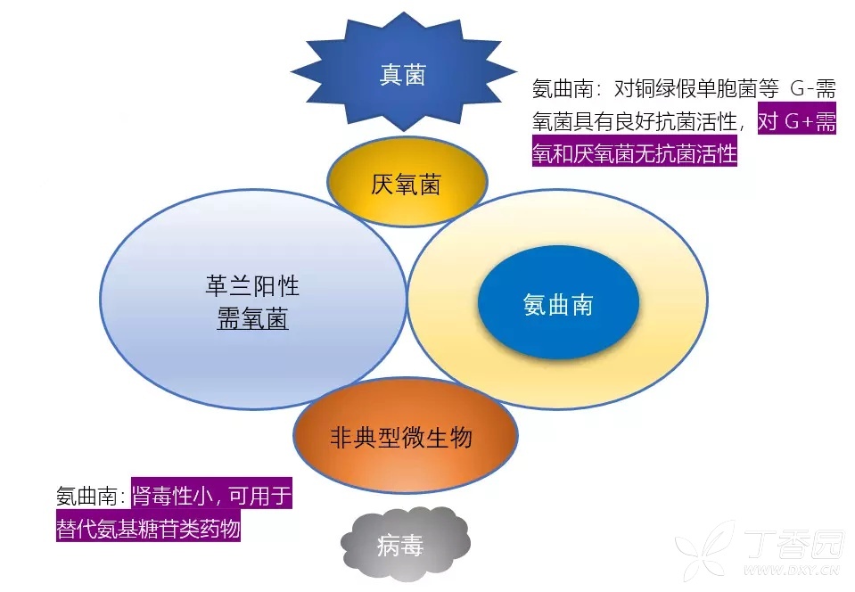 定期复习：各大类型抗生素抗菌谱，看完这个受益匪浅