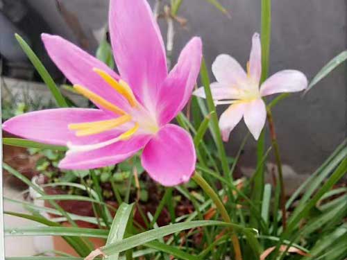 尔后,尔后美肤定制中心