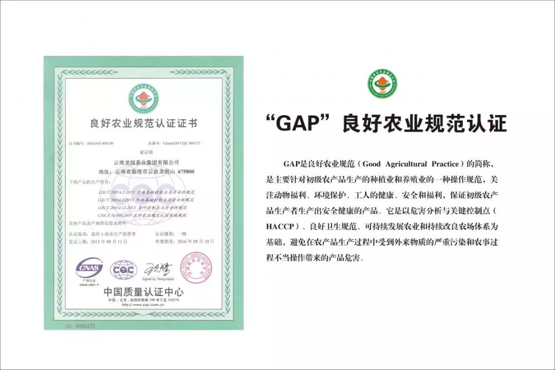 龙润集团招聘合伙人吗,龙润集团年会