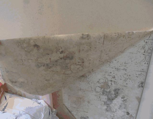 发霉墙面翻新步骤以及成本,解决墙面发霉的最好方法